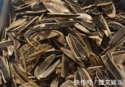 用这3种壳养花，一年省下不少钱，根系满盆窜，效果真明显！