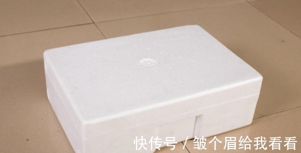 扔掉泡沫箱会污染环境?不如就拿来养花,实用、省钱、用途多