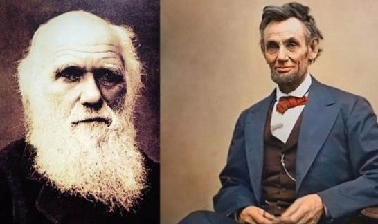 蛤蟆丸|玉兔捣的不是仙草，是蛤蟆丸！奇葩冷知识增加了