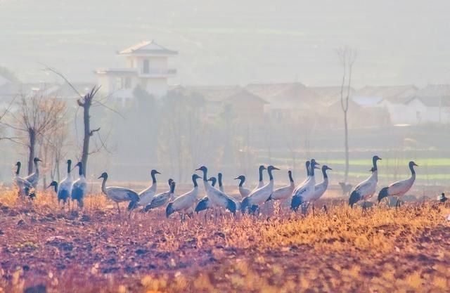 香格里拉|适合一个人去的18个地方，2020年欠自己的旅行，就这样安排吧