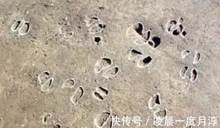 黄帝@世人皆知仓颉造字,但你知道仓颉造完字后,为何鬼怪都哭泣