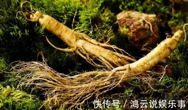 坟地#坟边长竹须迁坟,坟前两物成富人,“两物”是什么