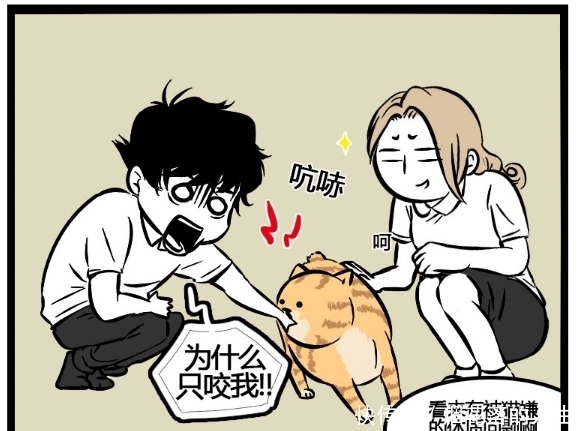 不好|搞笑漫画：原来这个世上真的有遭猫嫌体质，萌猫的心不好懂啊！