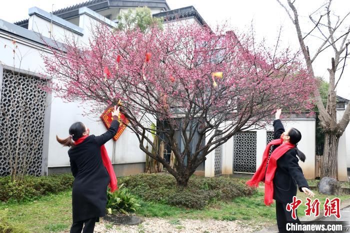 细雨|访浙江绍兴鲁迅故里：大年初一年味浓 民众细雨中祈福