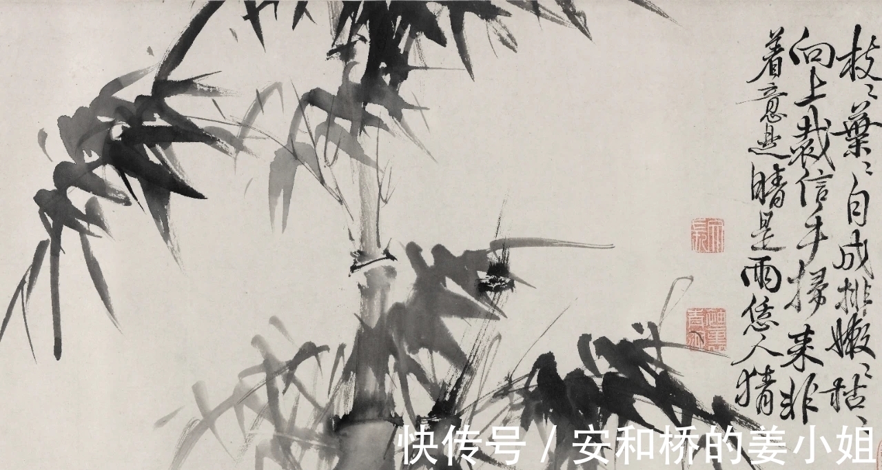 芭蕉！花鸟画一代宗师｜徐渭画竹，当在青藤之后，芭蕉之上，你认为呢？