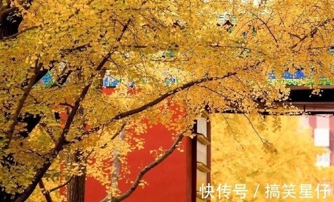 庾信@作者曾被杜甫盛赞,一首《晚秋》苍茫辽阔,更显满眼秋色