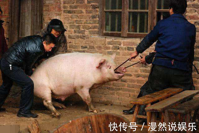 正屋|农村杀猪人为什么都命短梁宏达的解释一针见血,真相值得一看