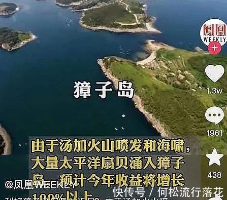 |獐子岛,一个靠段子涨停的神奇公司!