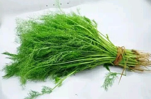 香椿芽炒蛋|湿气“最怕”这个菜，每周吃3次，湿气跑光光，营养美味易消化