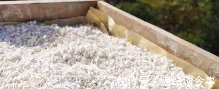 传统节日|一个冻龄古方!3味食材,美容养颜,补养气血,为你守住美丽!