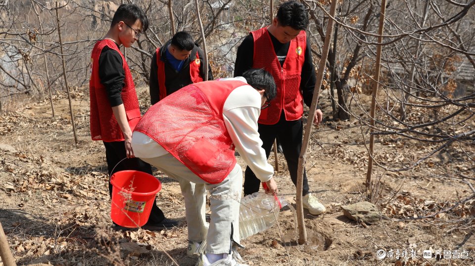 “植树添新绿 奋斗正当时”志愿服务活动在泰山九女峰举行
