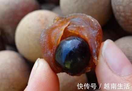龙眼|男人到了50岁,多吃“2黑2黄”,可以补“肾气”,“肾”才会健康