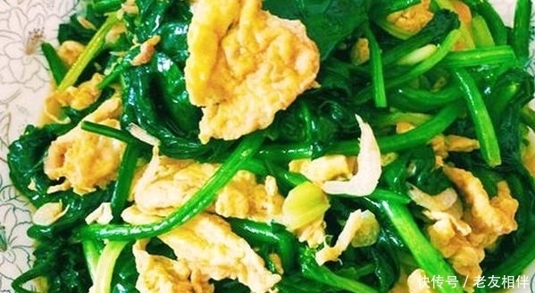 孩子多吃的补脑菜,益智益脑,增强记忆力,学习轻松,补铁不贫血