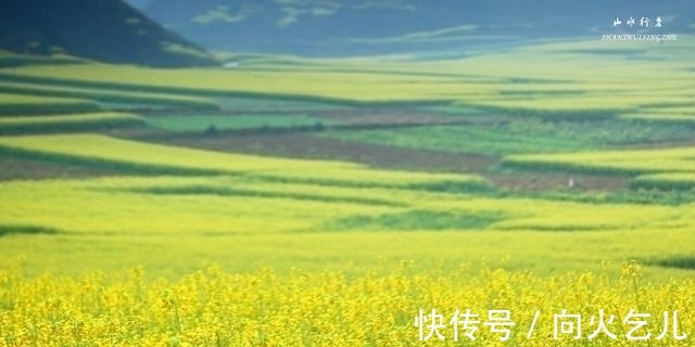 云南省|这个小县，竟然集中国最美峰林、最美瀑布、最美油菜花海于一身！