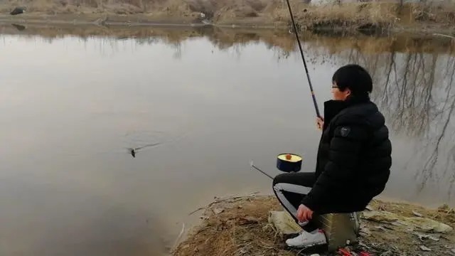 天冷鱼没口,试试这招逗钓法,连杆上鱼停不下来!