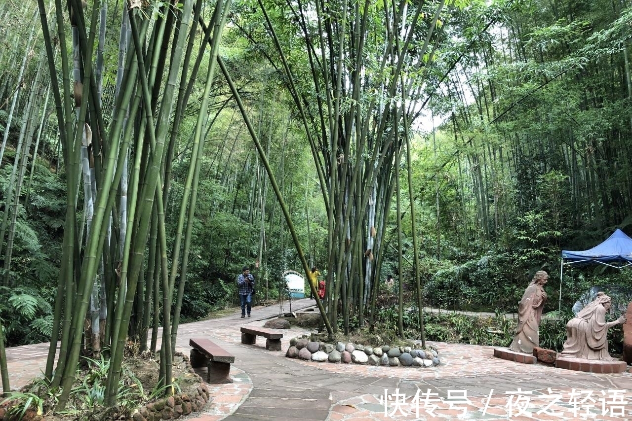 墨竹图题诗@3首文采飞扬的古代诗词,水平很厉害,读了有收获!