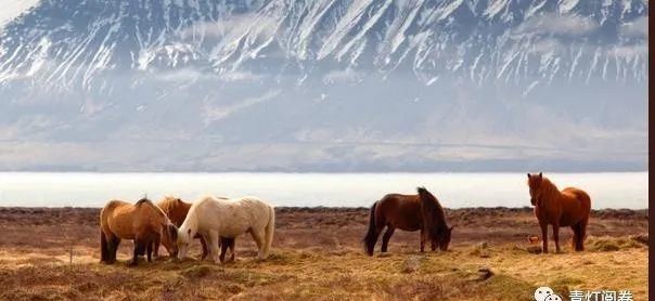 统一|上古部落统一之战：炎黄二帝同蚩尤涿鹿阪泉