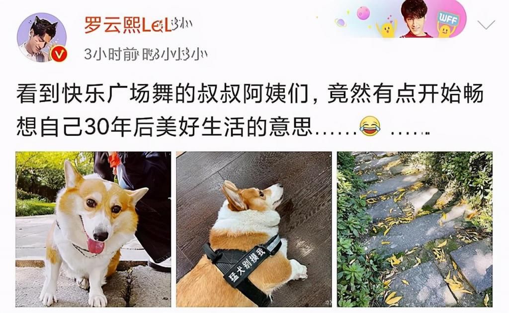 生活|罗云熙的个人综艺开录，接地气大跳广场舞，为了点击量拼了！