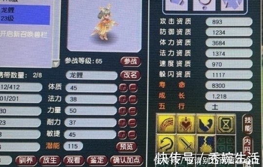 神佑|梦幻西游:新出极品140灵饰,极品宝宝追梦失败,难受想哭!