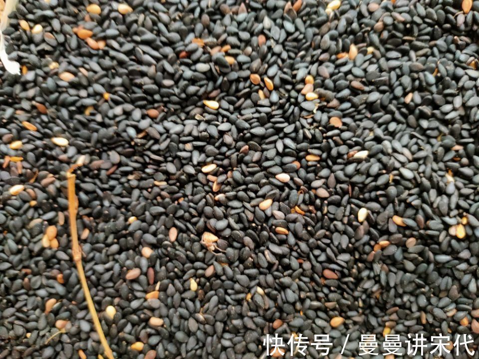 花盆里撒一把,不用再施肥,花儿仍然可以叶片翠绿,花开得更久