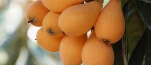  健康|想长寿得会吃，3种食物离不开，清肠排毒，减肥瘦身，越吃越健康