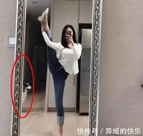 |搞笑GIF:这东西是我花钱买的,跟你有半毛钱关系