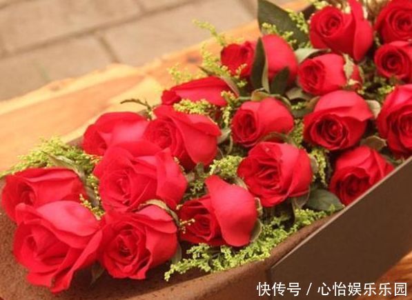 妖娆|喜欢菊花,不如养盆“玫瑰精品”卡罗拉,花开妖娆,高贵优雅!