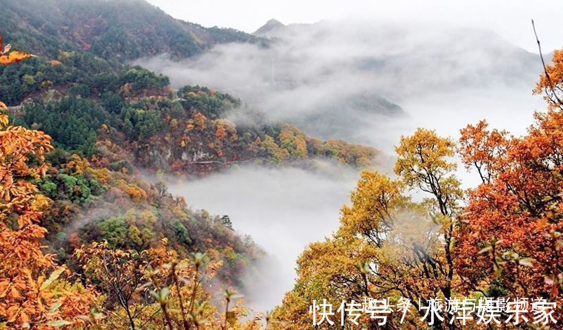 红叶|大别山“赏秋圣地”云海红叶人间仙境，现在正是最佳观赏期！