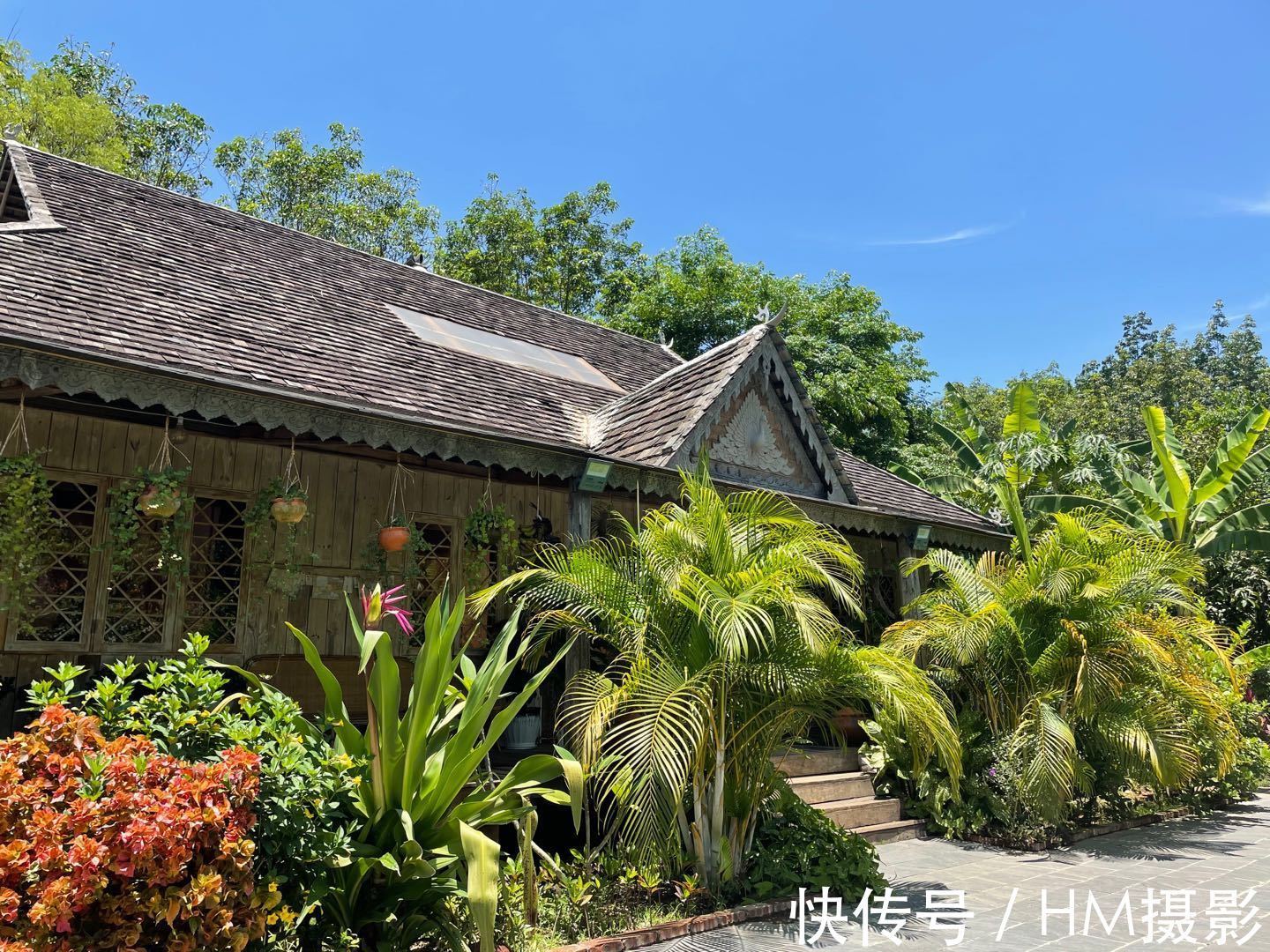 一人|向往的生活蘑菇屋收費參觀,20元一人還送果汁,小院實在太美了