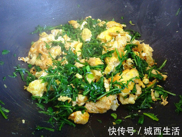 鸡蛋和它一起炒,头发乌黑,口臭没了,睡眠也好了,不懂就真亏了