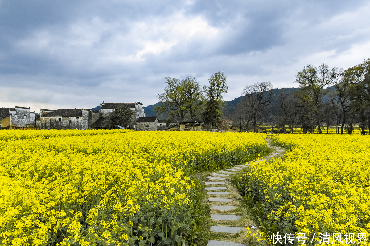 婺源赋春，游走在中国进士第一村，感受“进士之患”