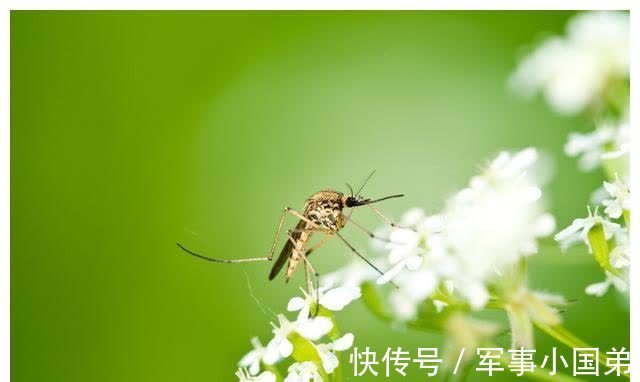 春天#描写春天比喻的句子,收藏起来给孩子写作文参考