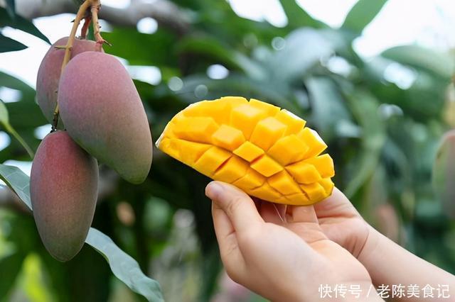 手把手|吃不完的水果怎么保鲜,能保鲜多长时间,手把手教你水果保存方法