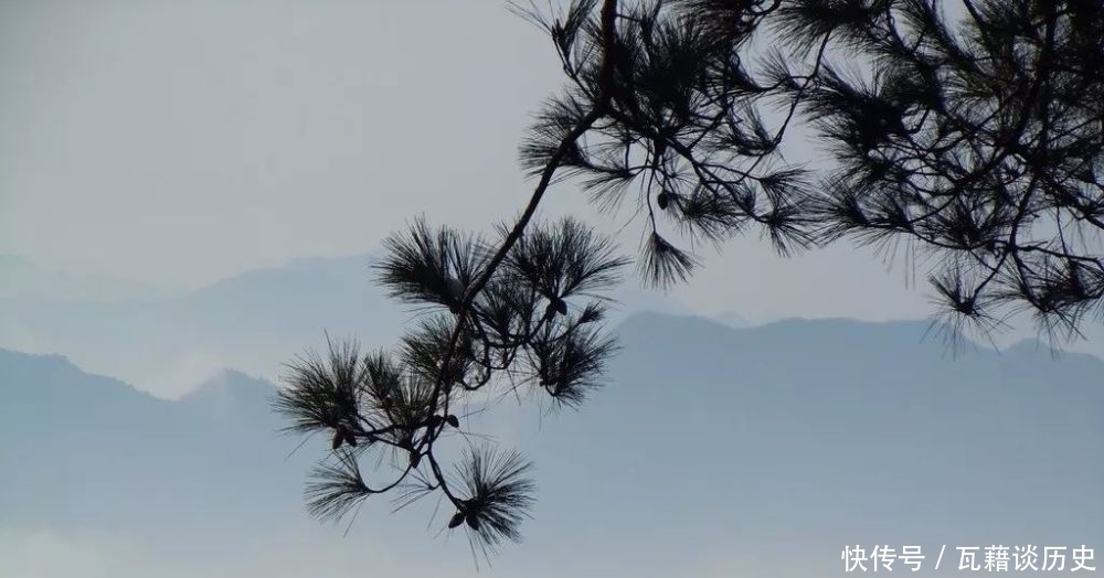 王有仁/面对松树