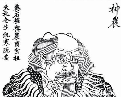 神农本草经|读本草经典,温故知新,中医不是太落后,而是太先进了!