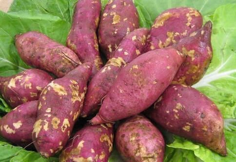 红薯|雌激素充足的女人，身体会有5个表现，若你都有，魅力十足