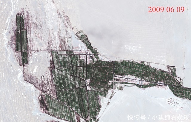 互联网时代 卫星视角,看敦煌阳关林场,55年间的前世今生