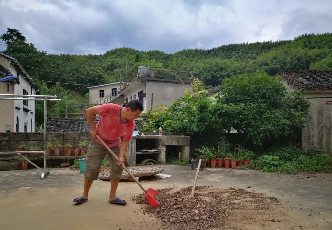 兰花|如何让松针、锯末、花生壳发酵效率翻倍？两个妙招，非常简单实用