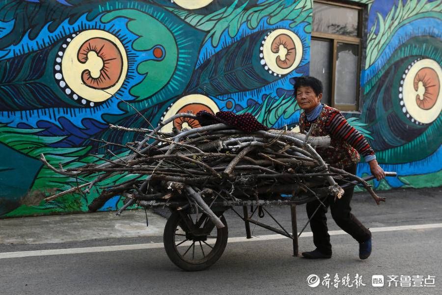 图集|壹图集丨花田北张，彩笔绘出泰城乡愁