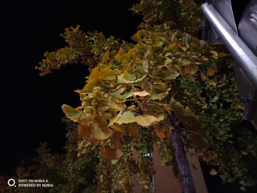 努比亚|实现全面屏的另一个方向 努比亚X全面评测