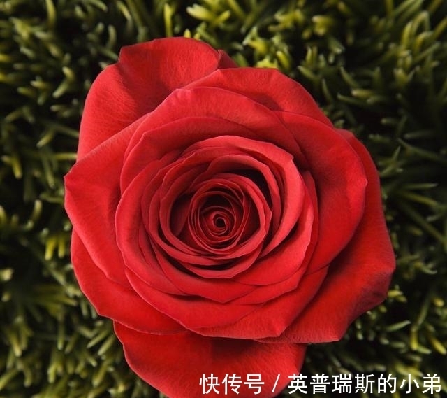 白羊座|11月期间,天降鸿福,财神进家门!好运势不断的4星座