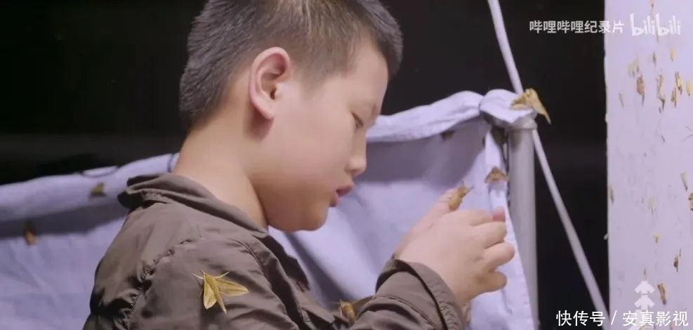 《小小少年》：以热爱之名