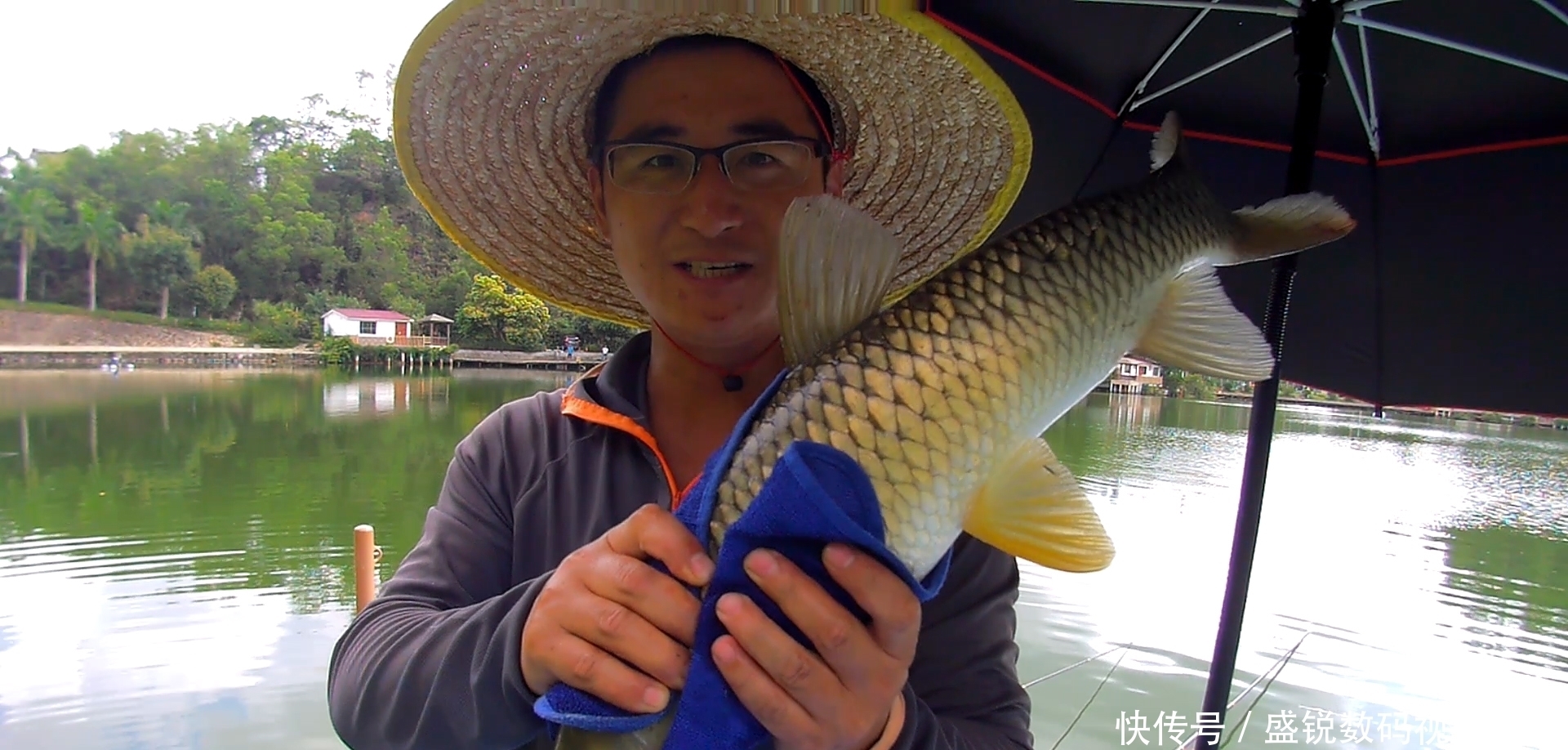 夏天|夏天炎热鱼儿会去哪儿？不同种类鱼聚集地不同，草鲤鲫鳊加鲢鳙