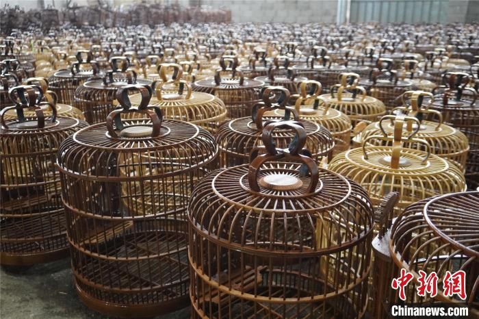 基地|广西小村庄用鸟笼“编织”起千万元大产业