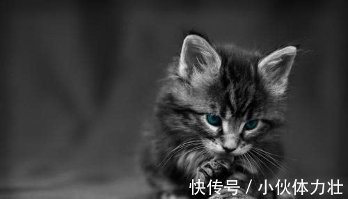 |幽默笑话:今天早晨我爸刷朋友圈,看到条朋友圈很惊讶的跟我妈说