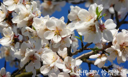 唐顺宗&刘禹锡的诗一向振奋人心,只有这首不一样,从开篇到结尾句句伤感