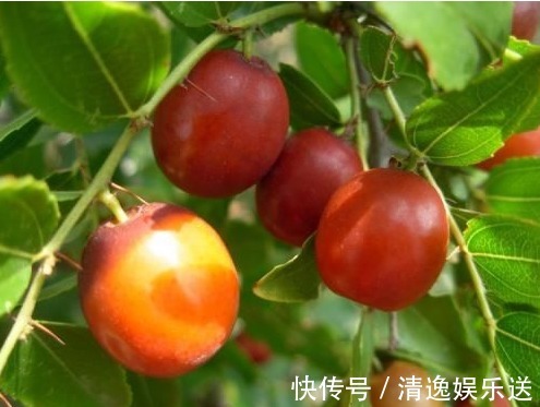 维生素c|医生提醒常吃此水果,能润肤祛斑、补血美容、抗衰老