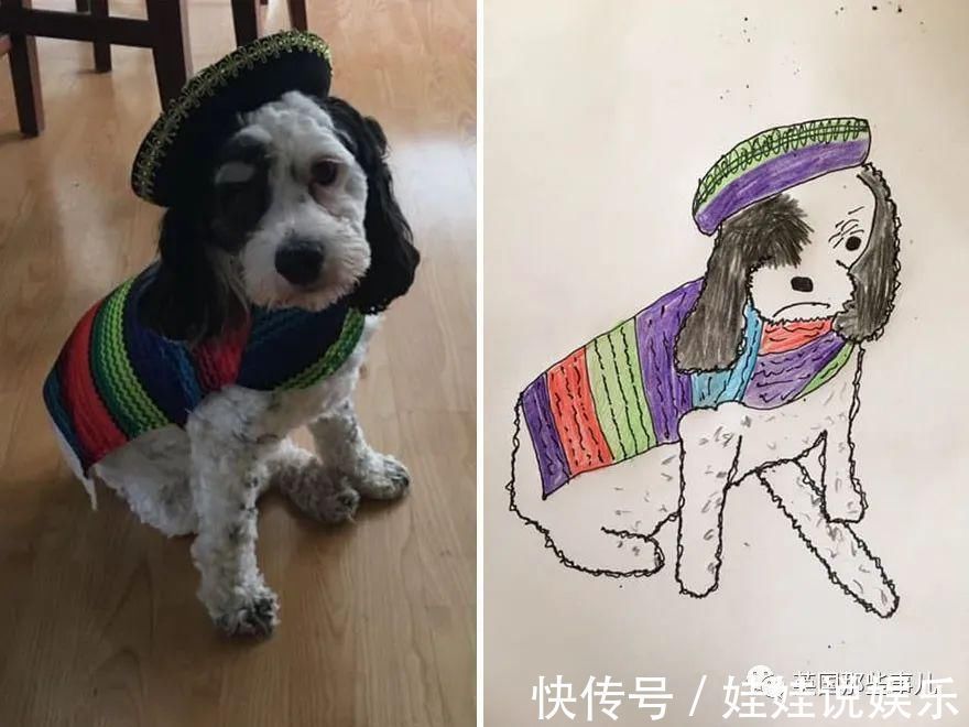 pet#随手涂鸦,自己觉得是“垃圾”的画作,没想到却在网上卖疯了