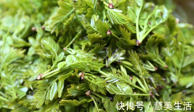小根|65种野菜图片，带你认识不同的野菜和吃法，你想要的野菜这里都有