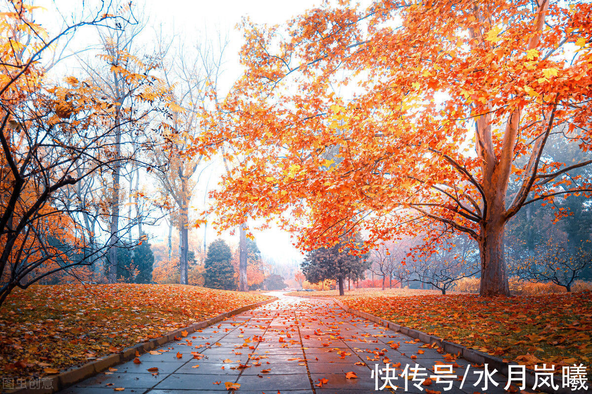 人间草木@愿有一人,待你如初,疼你入骨,懂你悲欢,知你冷暖